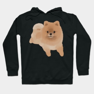 Pomeranian Hoodie